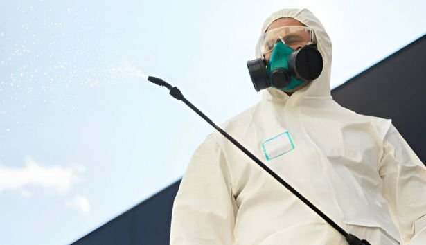 Pest Control Frankston
